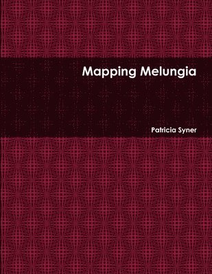 bokomslag Mapping Melungia