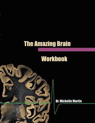 Michelle Martin - Amazing Brain Workbook, Häftad