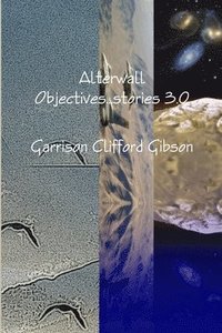 bokomslag Alterwall Objectives...stories 3.0