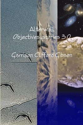 bokomslag Alterwall Objectives...stories 3.0