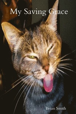 Brian Smith - My Saving Grace, Häftad