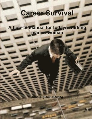 bokomslag Career Survival