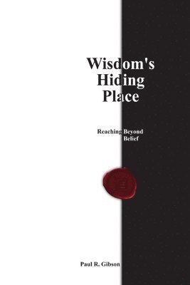 bokomslag Wisdom's Hiding Place