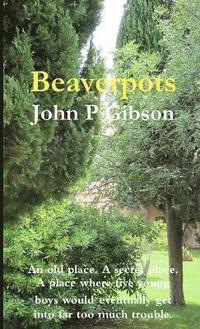bokomslag Beaverpots