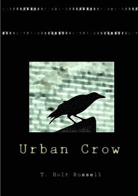 Urban Crow 1