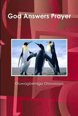 Oluwagbemiga Olowosoyo - God Answers Prayer, Häftad