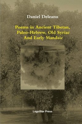 bokomslag Poems in Ancient Tibetan, Paleo-Hebrew, Old Syriac and Early Mandaic