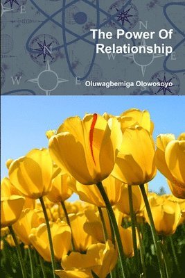 Oluwagbemiga Olowosoyo - Power Of Relationship, Häftad