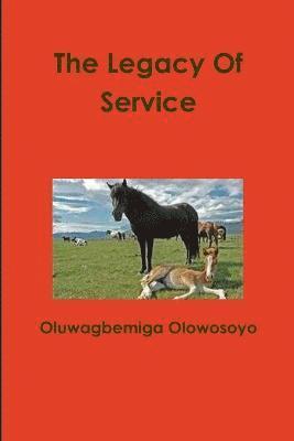 Oluwagbemiga Olowosoyo - Legacy Of Service, Häftad