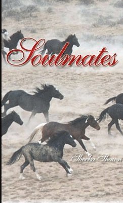 bokomslag Soulmates