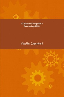 bokomslag 12 Steps to Living with a Recovering Addict