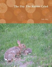 bokomslag Day The Rabbit Cried