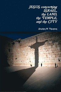 bokomslag Jesus Concerning Israel, the Land, the Temple, and the City