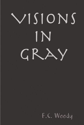 bokomslag Visions in Gray