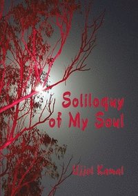 bokomslag Soliloquy of My Soul