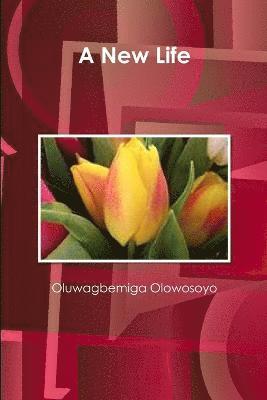 Oluwagbemiga Olowosoyo - New Life, Häftad