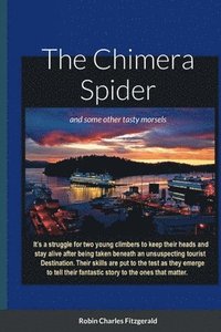 bokomslag Chimera Spider