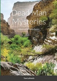 bokomslag Dead Man Mysteries