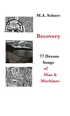 bokomslag Recovery
