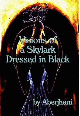 bokomslag Visions of a Skylark Dresed in Black (HB Gift Edition)