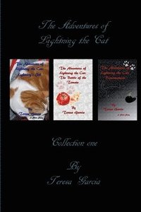 bokomslag The Adventures of Lightning the Cat: Collection One