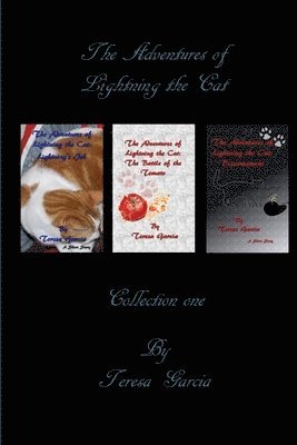 Teresa Garcia - Adventures of Lightning the Cat: Collection One, Häftad