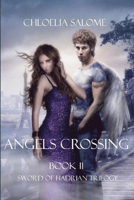 bokomslag Angels Crossing