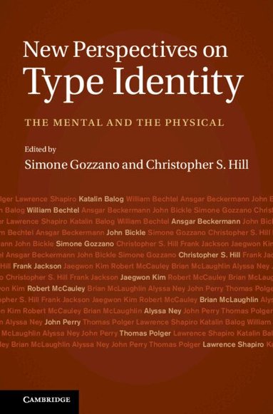 Simone Gozzano, Christopher S. Hill - New Perspectives on Type Identity, Inbunden