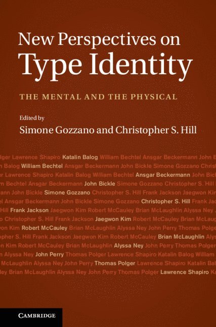 New Perspectives on Type Identity