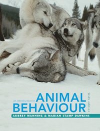 bokomslag An Introduction to Animal Behaviour