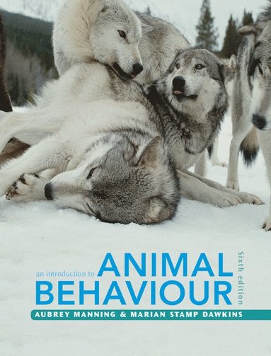 bokomslag An Introduction to Animal Behaviour