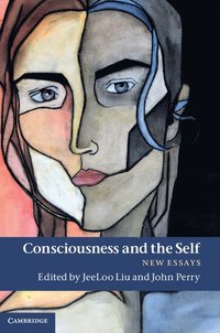 bokomslag Consciousness and the Self