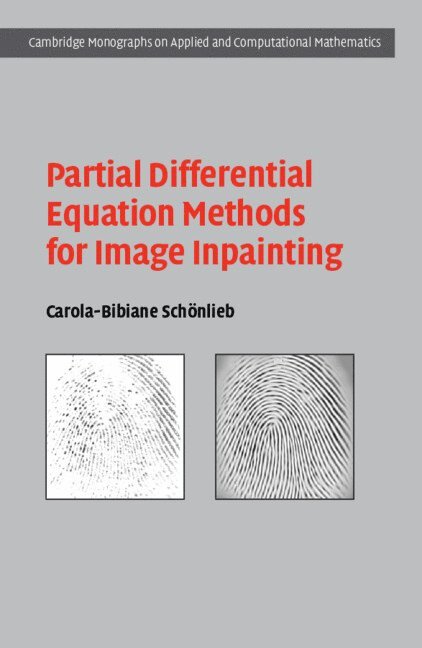 Partial Differential Equation Methods for Image Inpainting 1