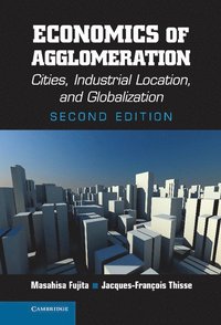 bokomslag Economics of Agglomeration