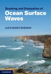 bokomslag Breaking and Dissipation of Ocean Surface Waves