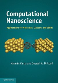 bokomslag Computational Nanoscience