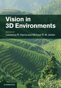 bokomslag Vision in 3D Environments