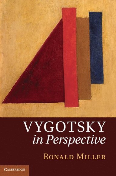 bokomslag Vygotsky in Perspective