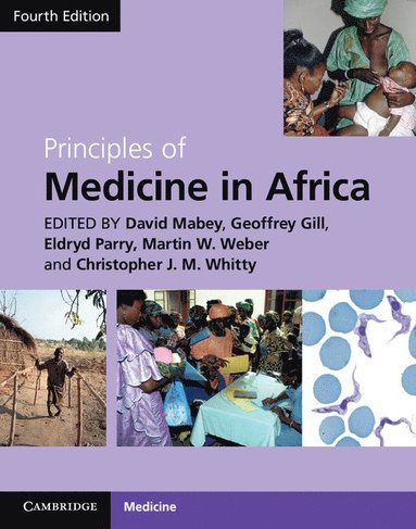 bokomslag Principles of Medicine in Africa