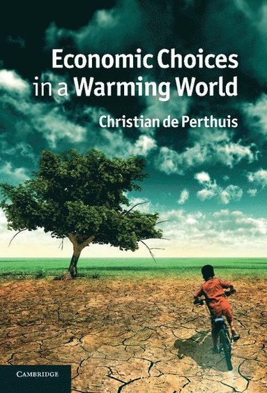 bokomslag Economic Choices in a Warming World