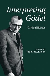 bokomslag Interpreting Gödel: Critical Essays