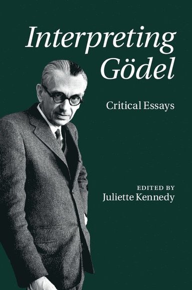 bokomslag Interpreting Gödel