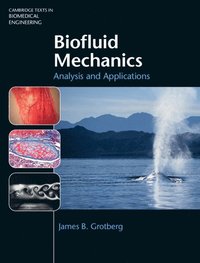 bokomslag Biofluid Mechanics