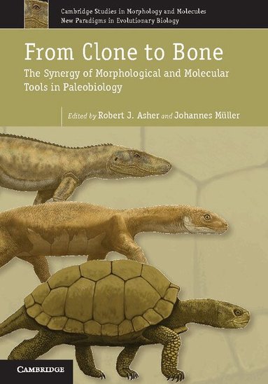 Robert J. Asher, Johannes Müller - From Clone to Bone, Inbunden