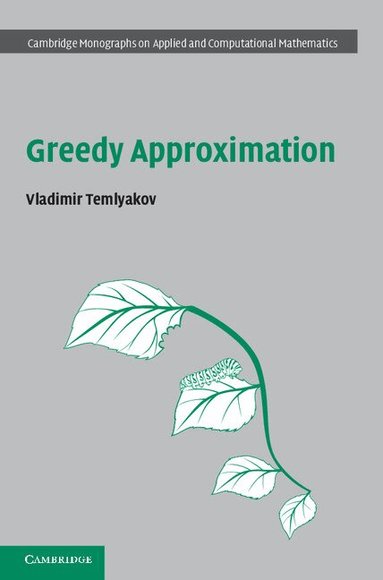 Vladimir Temlyakov - Greedy Approximation, Inbunden