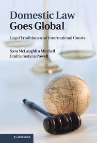 bokomslag Domestic Law Goes Global