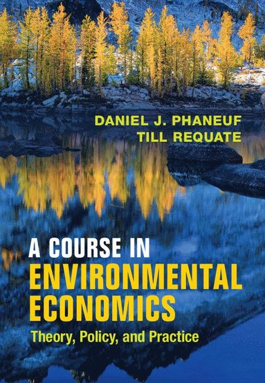 bokomslag A Course in Environmental Economics