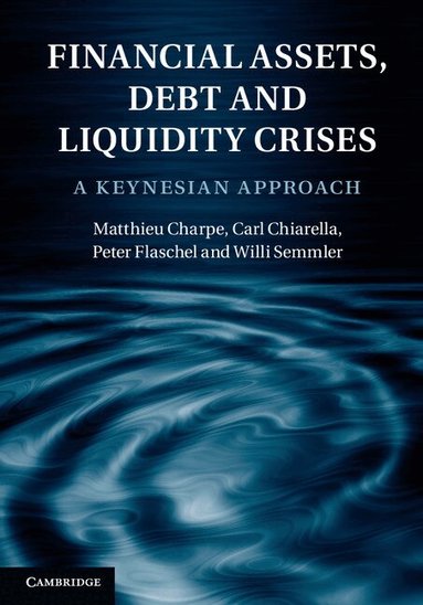 Matthieu Charpe, Carl Chiarella, Peter Flaschel, Willi Semmler - Financial Assets, Debt and Liquidity Crises, Inbunden