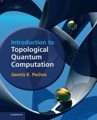bokomslag Introduction to Topological Quantum Computation