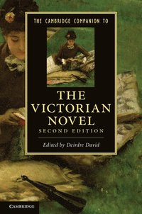bokomslag The Cambridge Companion to the Victorian Novel